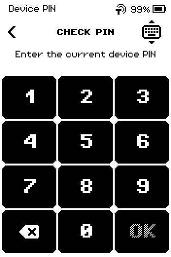 CHECK PIN page asking for the current device PIN